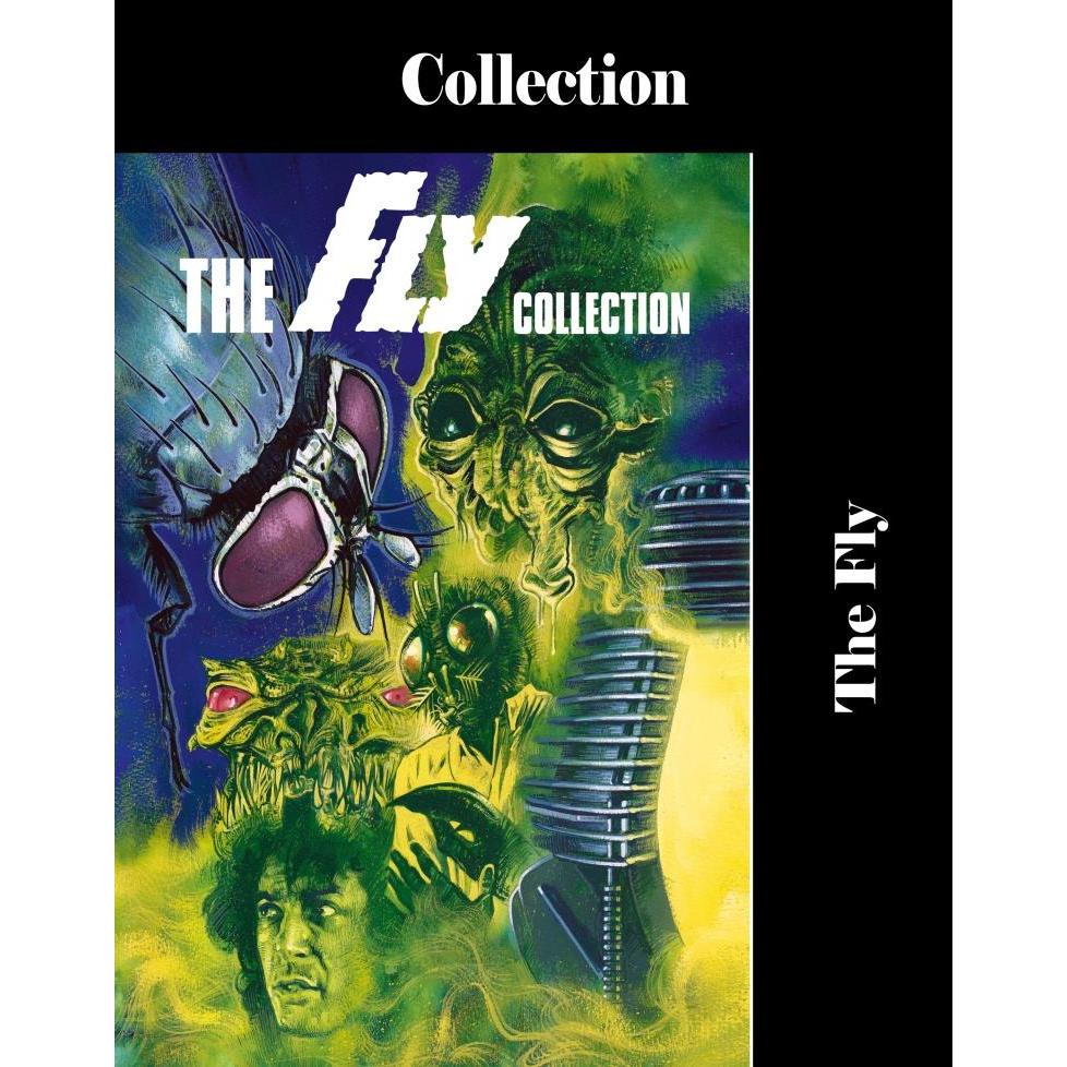 Jual DVD - Fly Collection (1986 - 1989) | Shopee Indonesia