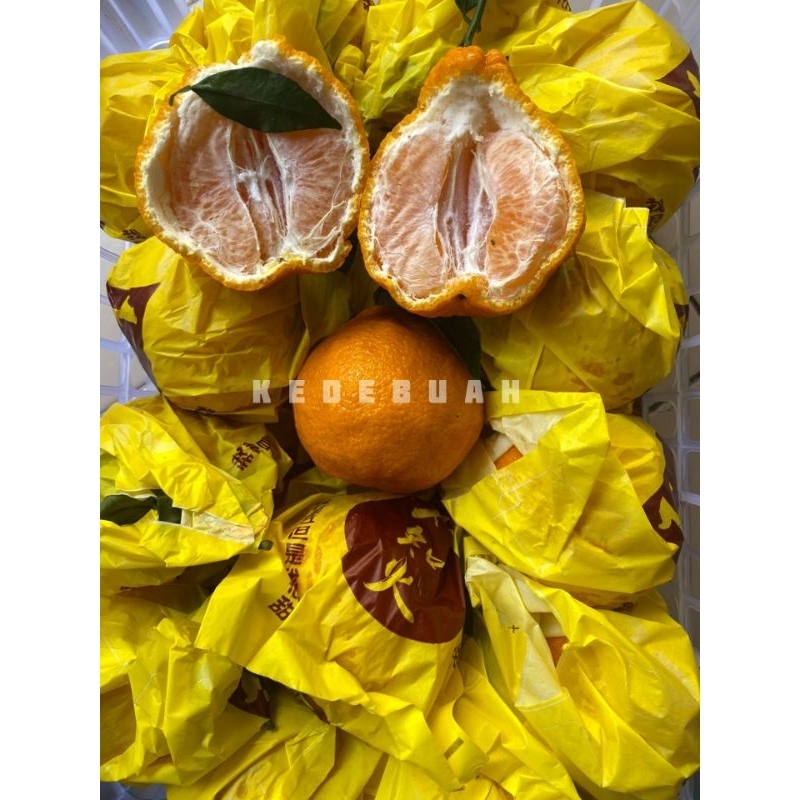 Jual Jeruk Dekopon Chinese 1 kg | Shopee Indonesia