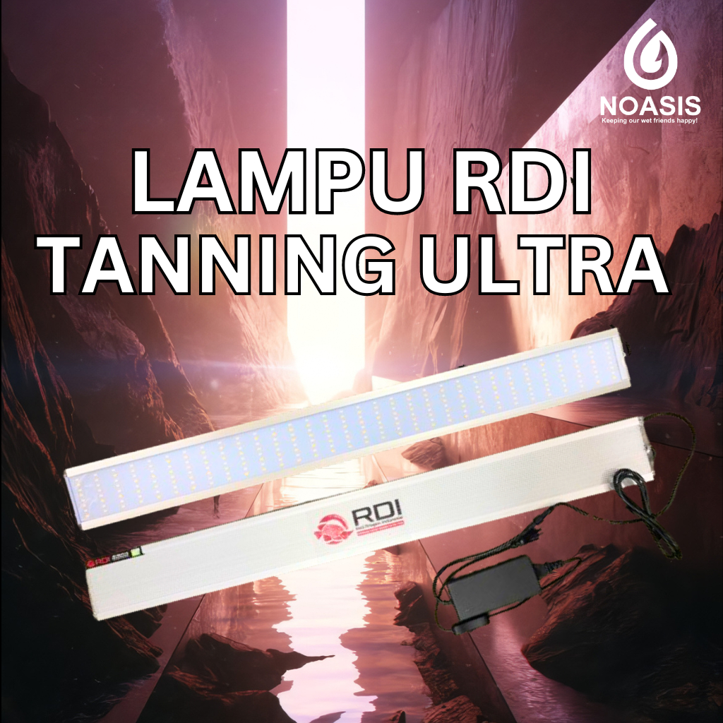 Jual RDI Lampu Led Tanning Ultra Ikan Arwana Super Red 13000 K RD 1000 ...