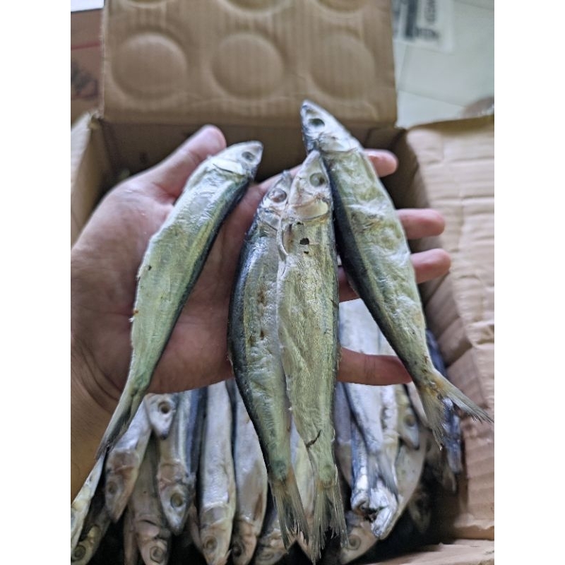 Jual IKAN ASIN JAPUH SERO 500GR | Shopee Indonesia