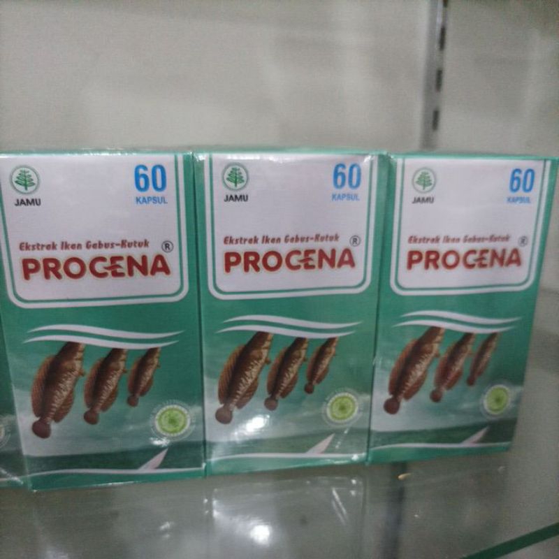 Jual Procena Ekstrak Ikan Gabus 60 Kapsul - Albumin Ikan Kutuk | Shopee ...