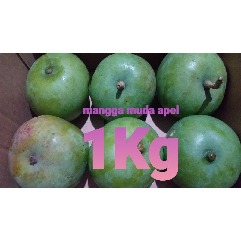 Jual mangga apel 1 kg/mangga rujak | Shopee Indonesia