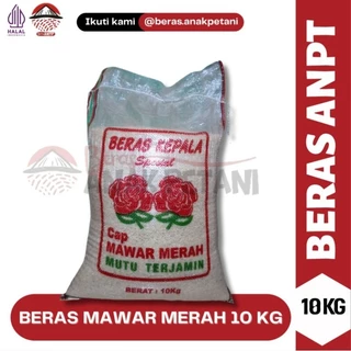 Harga Beras 10 Kg Terbaru dan Termurah di Pasaran 2024