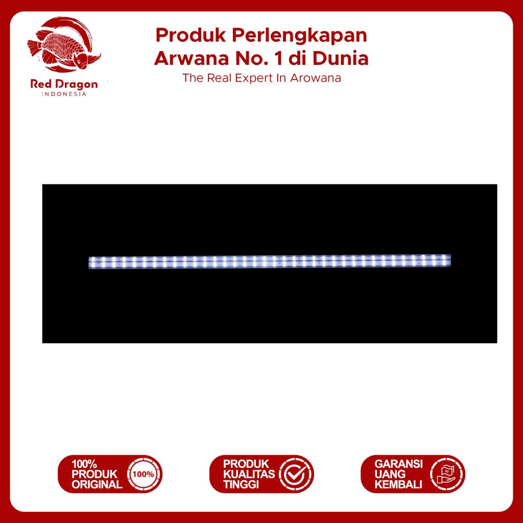 Jual LAMPU RDI RD SCB 4D Booster | Shopee Indonesia
