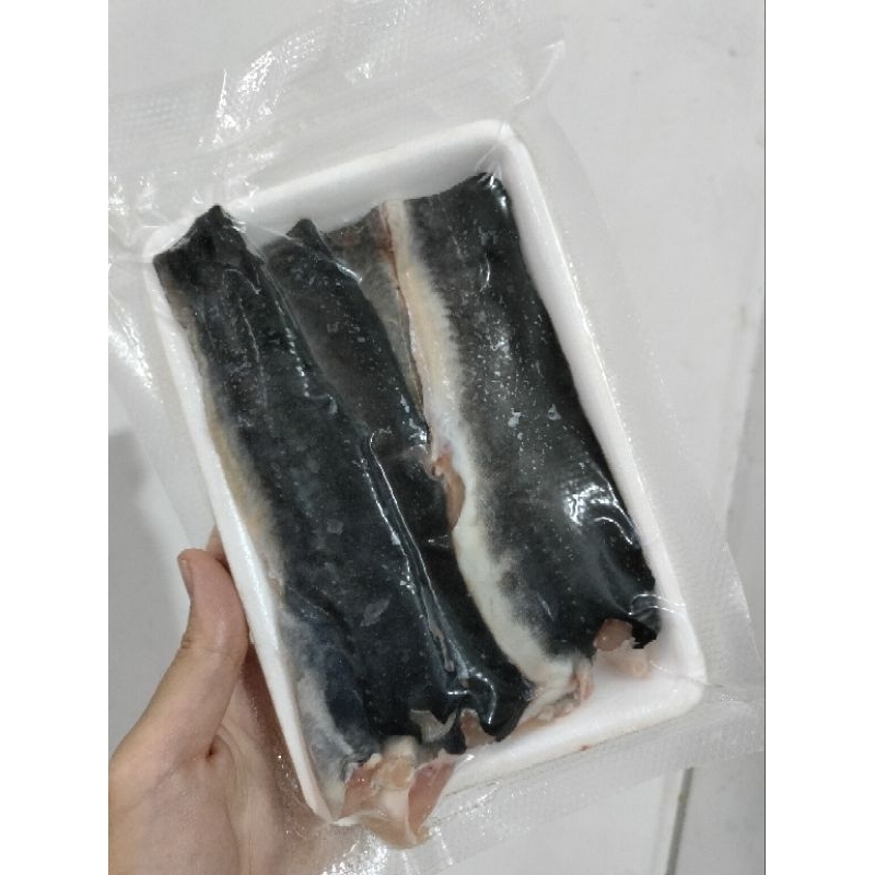 Jual IKAN LELE FILLET ORGANIK / IKAN MPASI ANAK / IKAN LELE FRESH SEGAR ...