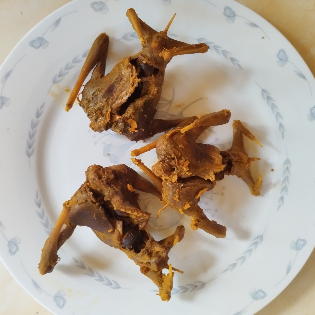 Jual OBAT ASMA DAGING KELELAWAR KELAPA ATAU CODOT UNGKEB SIAP GORENG ...