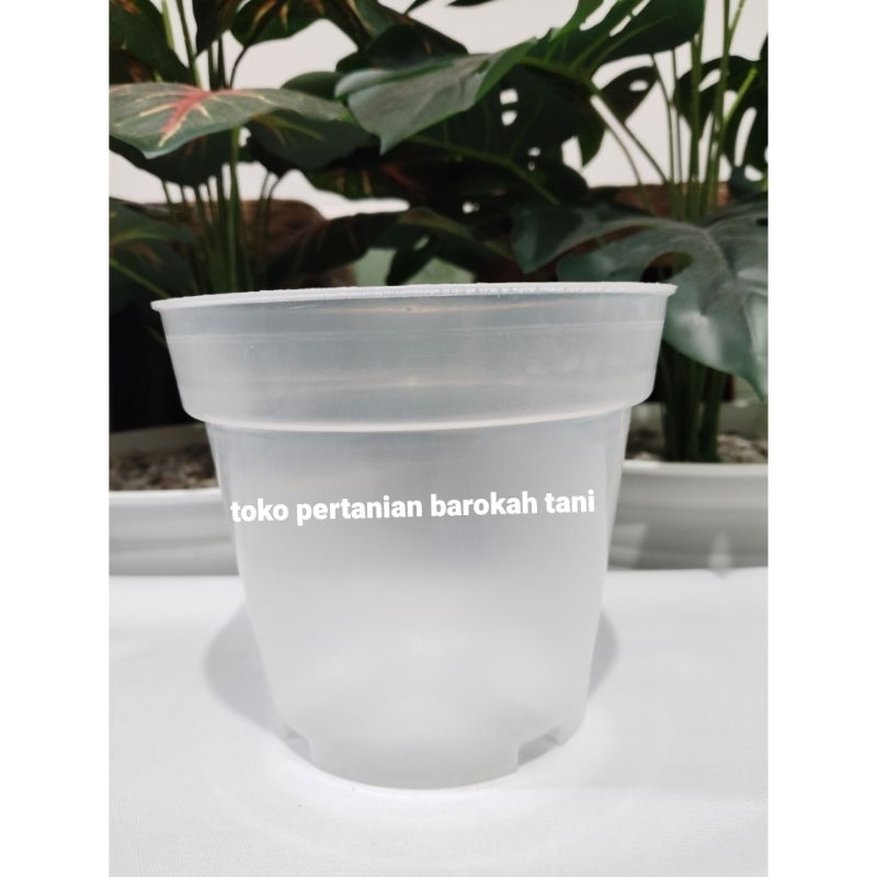 Jual (1pcs) Pot bunga srondol 15 srondol 15 model tinggi bahan tebal ...