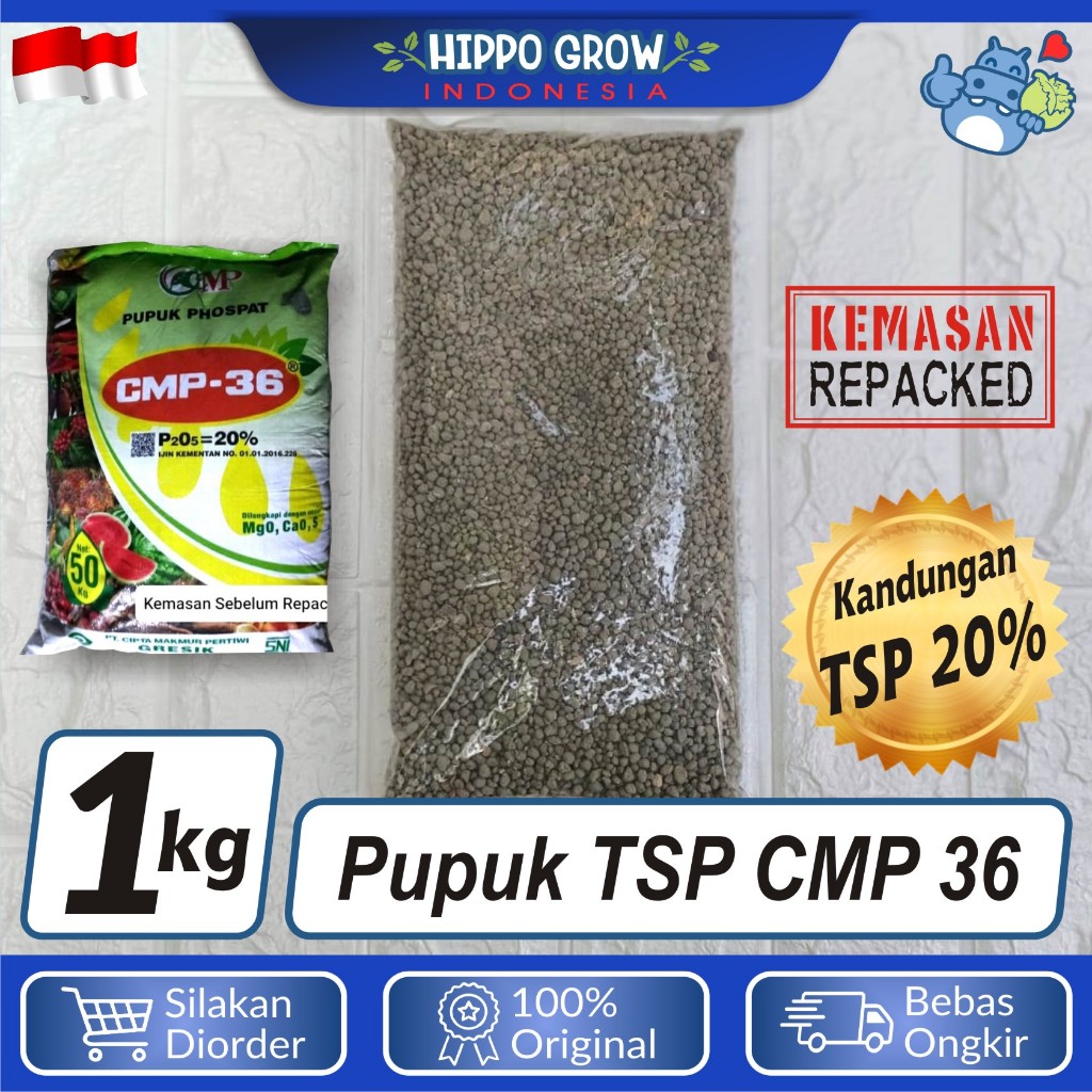 Jual 1 kg - Pupuk TSP Fosfat SP36 Pospat CMP 36 Kemasan Repack 1kg ...
