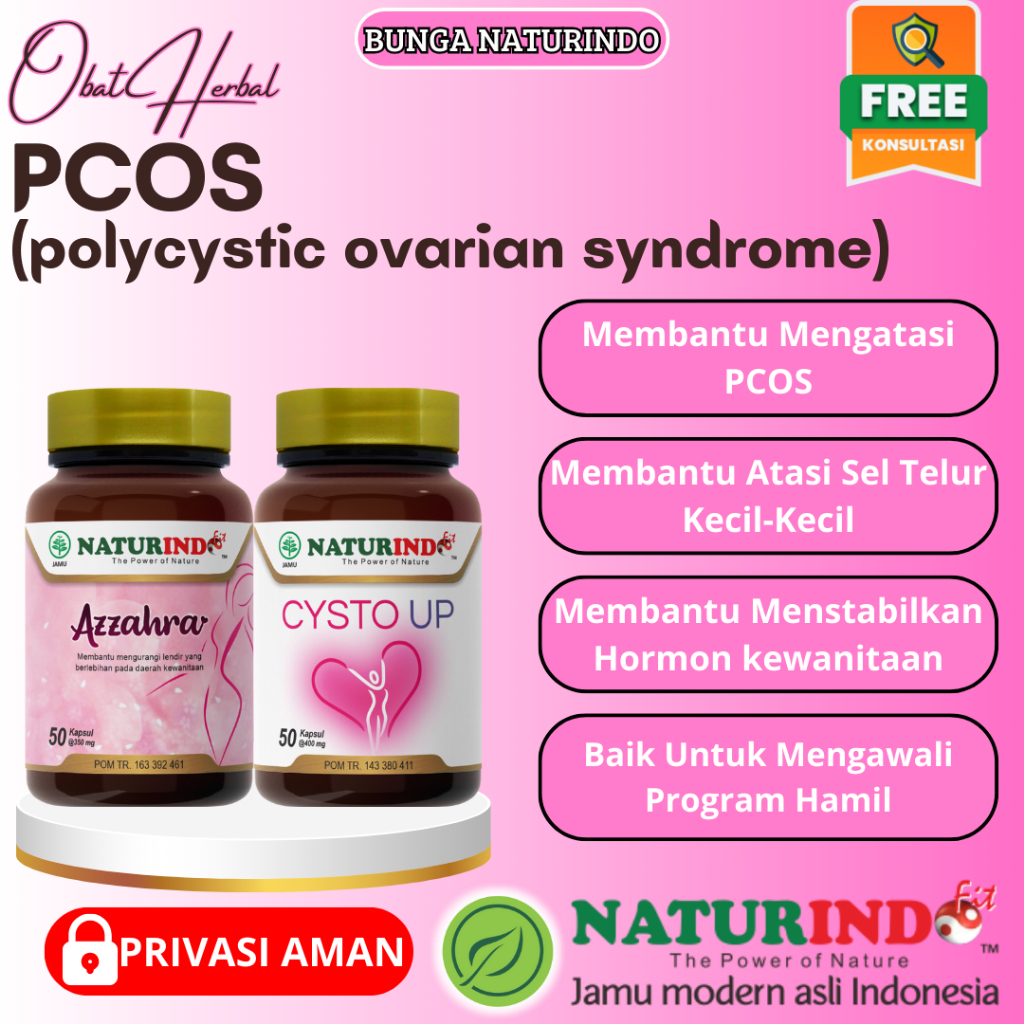 Jual Obat Herbal PCOS Polycystic Ovarian Syndrome Sindrom Polikistik ...