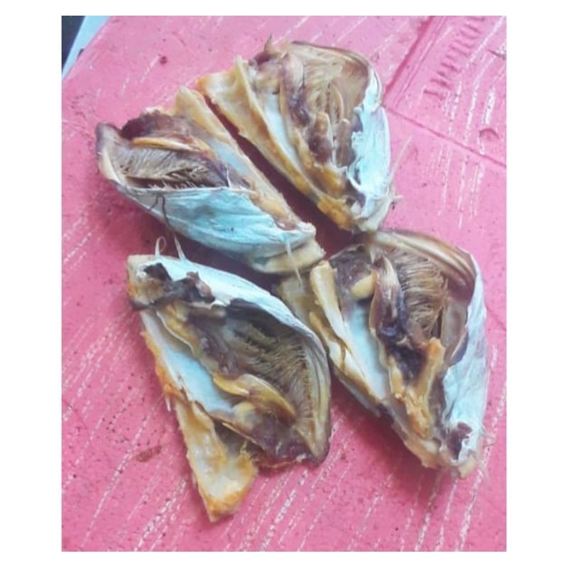 Jual tulang kepala jambal roti super 1 kg | Shopee Indonesia