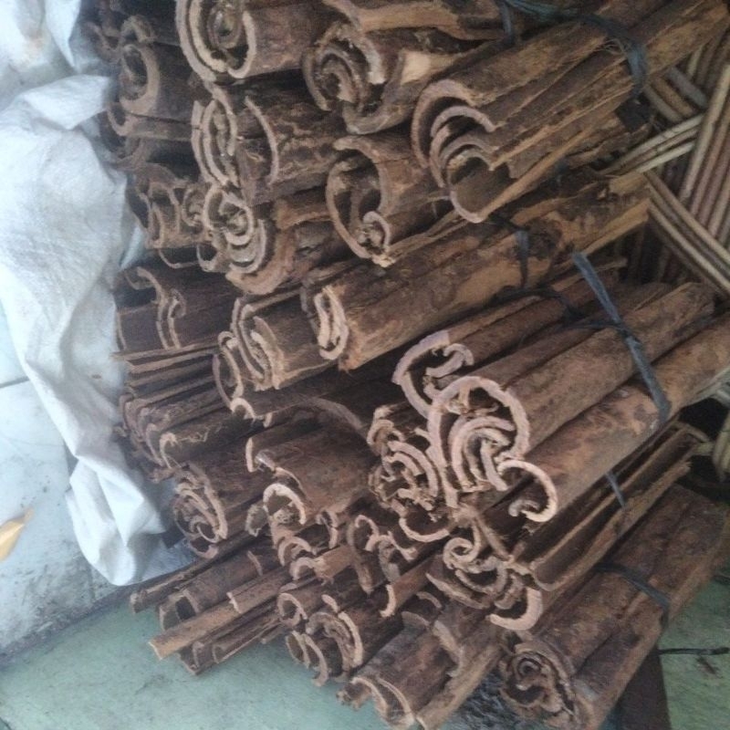 Jual raru KULIT KAYU RARU ASLI ,harga 1 kilo bersih | Shopee Indonesia
