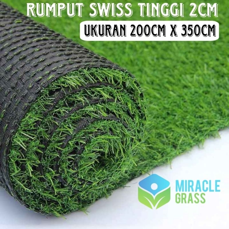 Jual Karpet Rumput Sintetis - Swiss 2cm - Ukuran 200cm x 350cm - Karpet ...