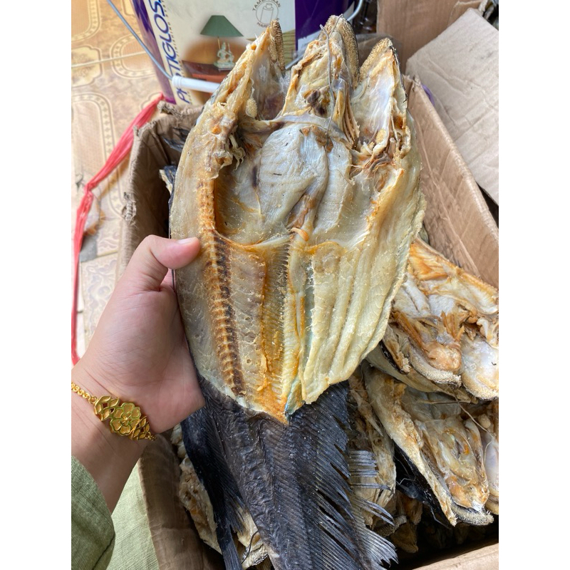 Jual Ikan Tapah Terlengkap & Harga Terbaru Agustus 2026 | Shopee Indonesia