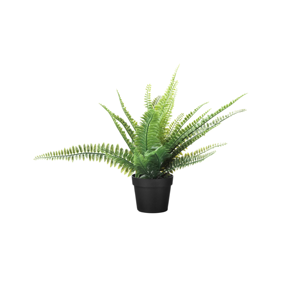 Jual FJKA Tanaman tiruan dalam pot, paku-pakis, 9 cm | Shopee Indonesia