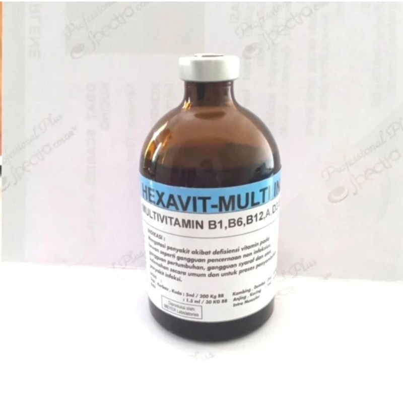 Jual HEXAVIT - MULTI Inj / Multivitamin Injeksi Obat Hewan | Shopee ...
