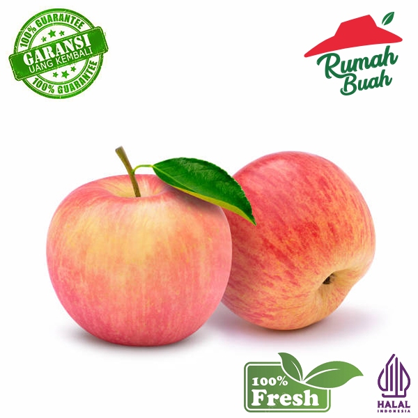 Jual BUAH APEL FUJI 1 KG [RUMAH BUAH] | Shopee Indonesia