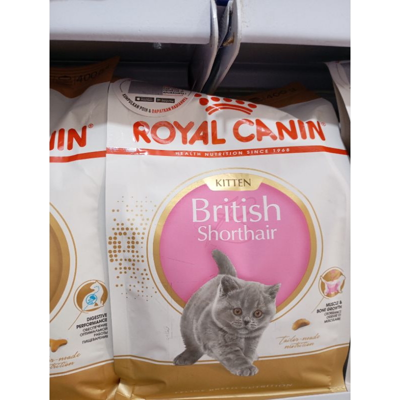 Jual Royal Canin Kitten BSH 400g Shopee Indonesia