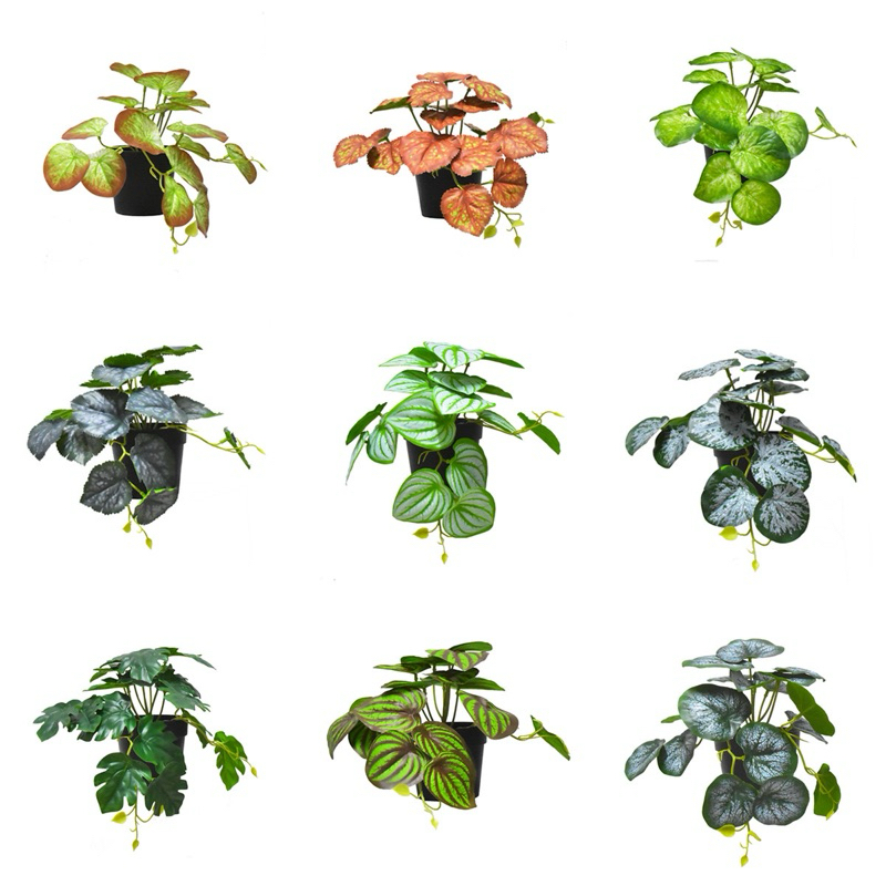 Jual (SUDAH+POT)RANGKAIAN TANAMAN RAMBAT PALSU | Shopee Indonesia