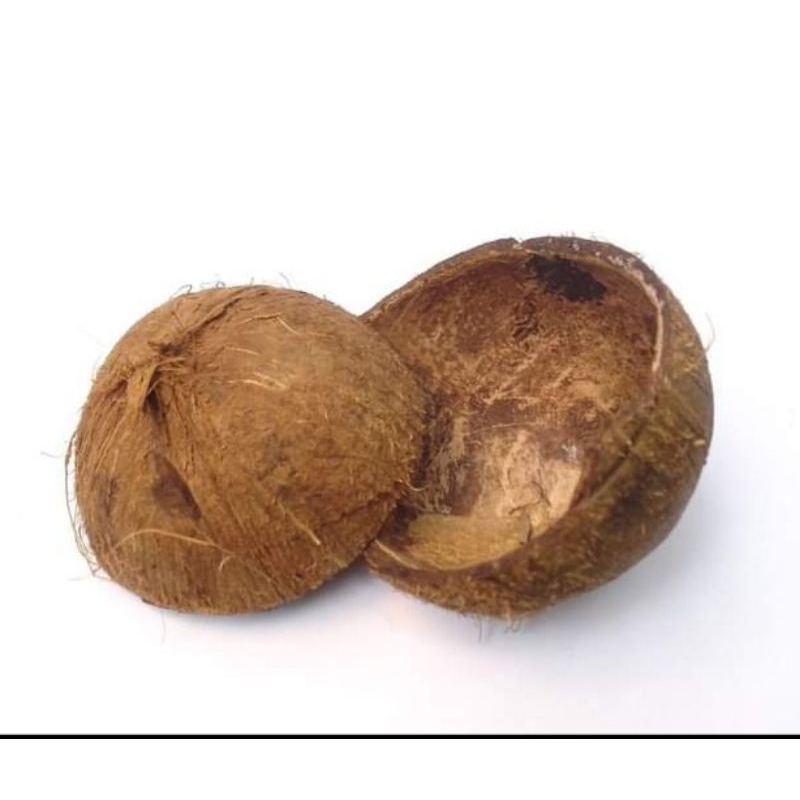 Jual batok kelapa bahan kerajinan isi 5 pcs | Shopee Indonesia
