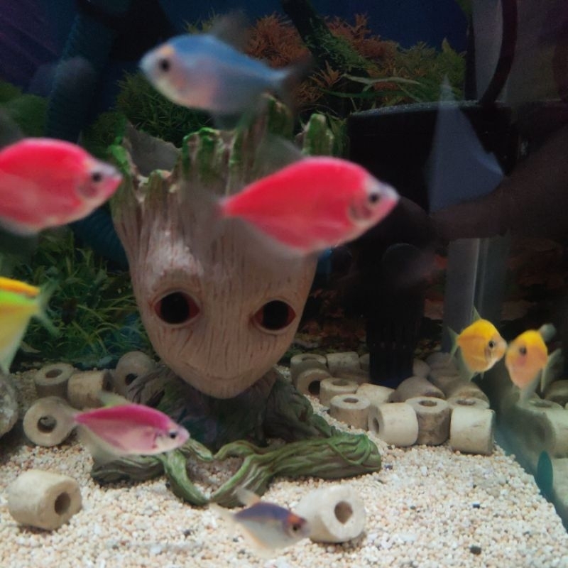 Jual hiasan aquarium aquascape figure groot avenger marvel