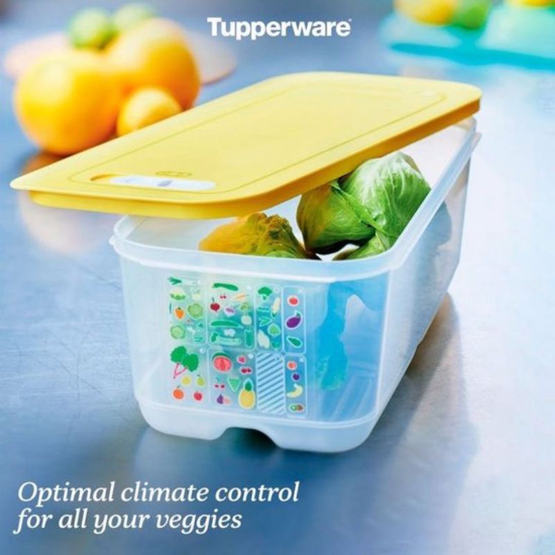Jual Jumbo Ventsmart 6,1L tupperware | Shopee Indonesia