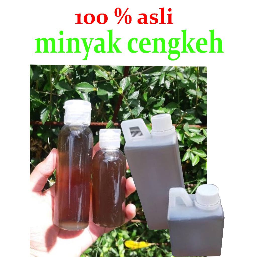 Jual MINYAK CENGKEH ORI ASLI 30ML /50ML/100ML CLOVE OIL ASLI | Shopee ...