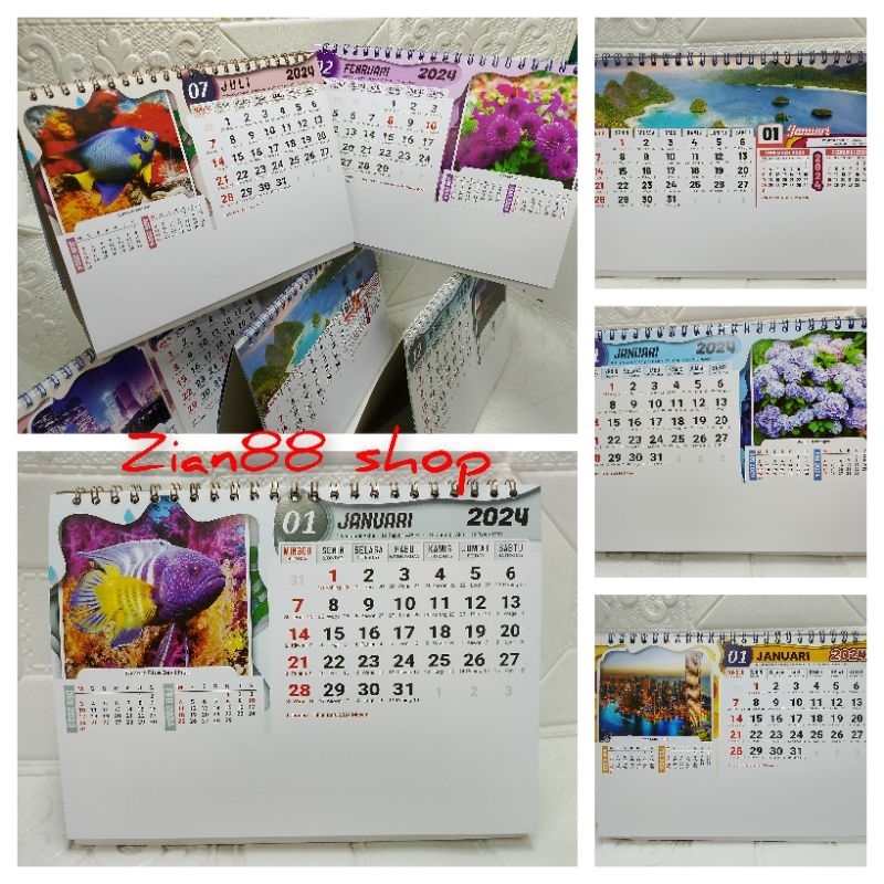 Jual Kalender Meja 2024 Special Edisi BO | Shopee Indonesia