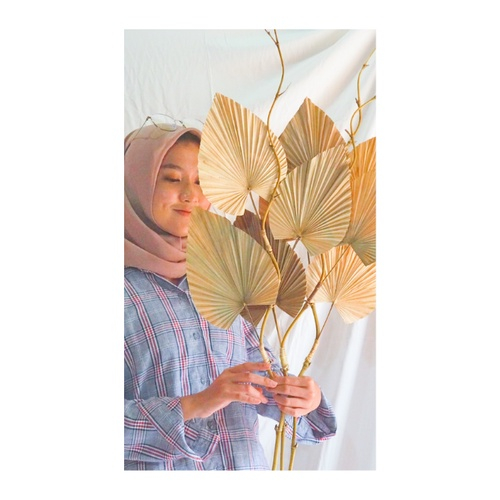 Jual PALEM STIK BUNGA KERING STIK DAUN PALEM BUNGA KERING STIK DAUN ...