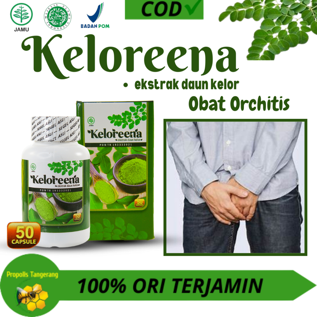 Jual Keloreena Kapsul Kapsul Ekstrak Daun Kelor Asli Original Obat Orchitis Obat