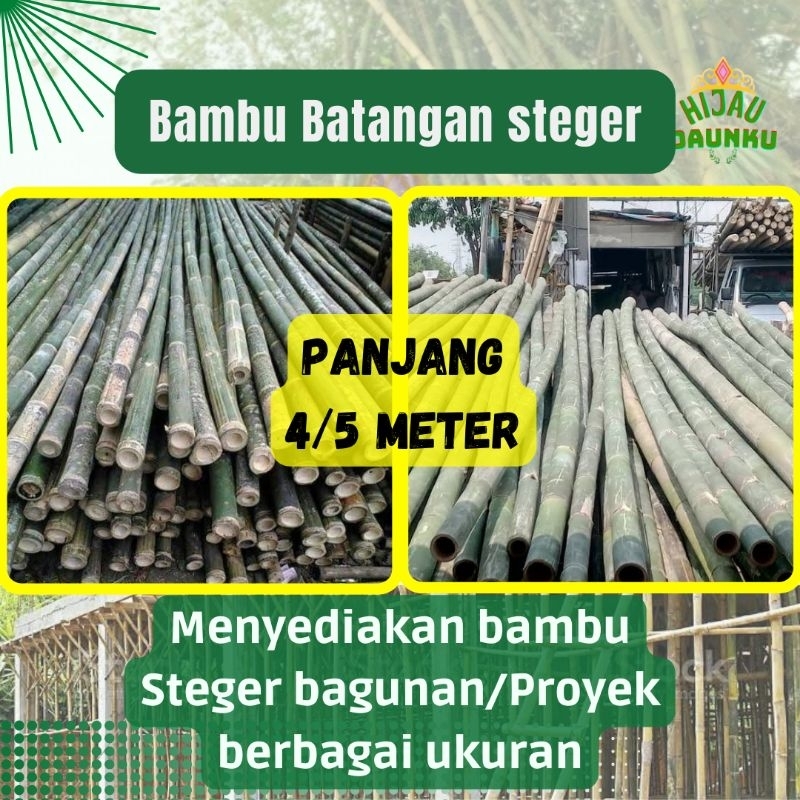 Jual Bambu Batangan Steger Bangunan Atau Proyek Cor Dan Kandang Diameter 8 10cm Minimal Order 6846