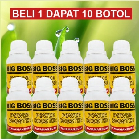 Jual Pupuk Pelebat Buah Big Boss Power Booster Promo Beli Dapat