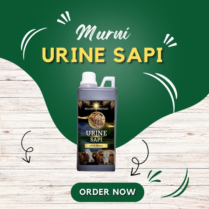 Jual Urin Sapi Murni Mentah 1 Liter | Shopee Indonesia