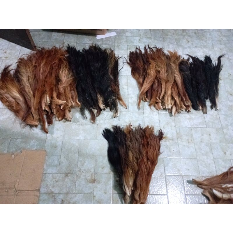 Jual BACA DESKRIPSI Rambut Ekor/Gubat/Buntut Sapi Sedang (tanpa garam ...