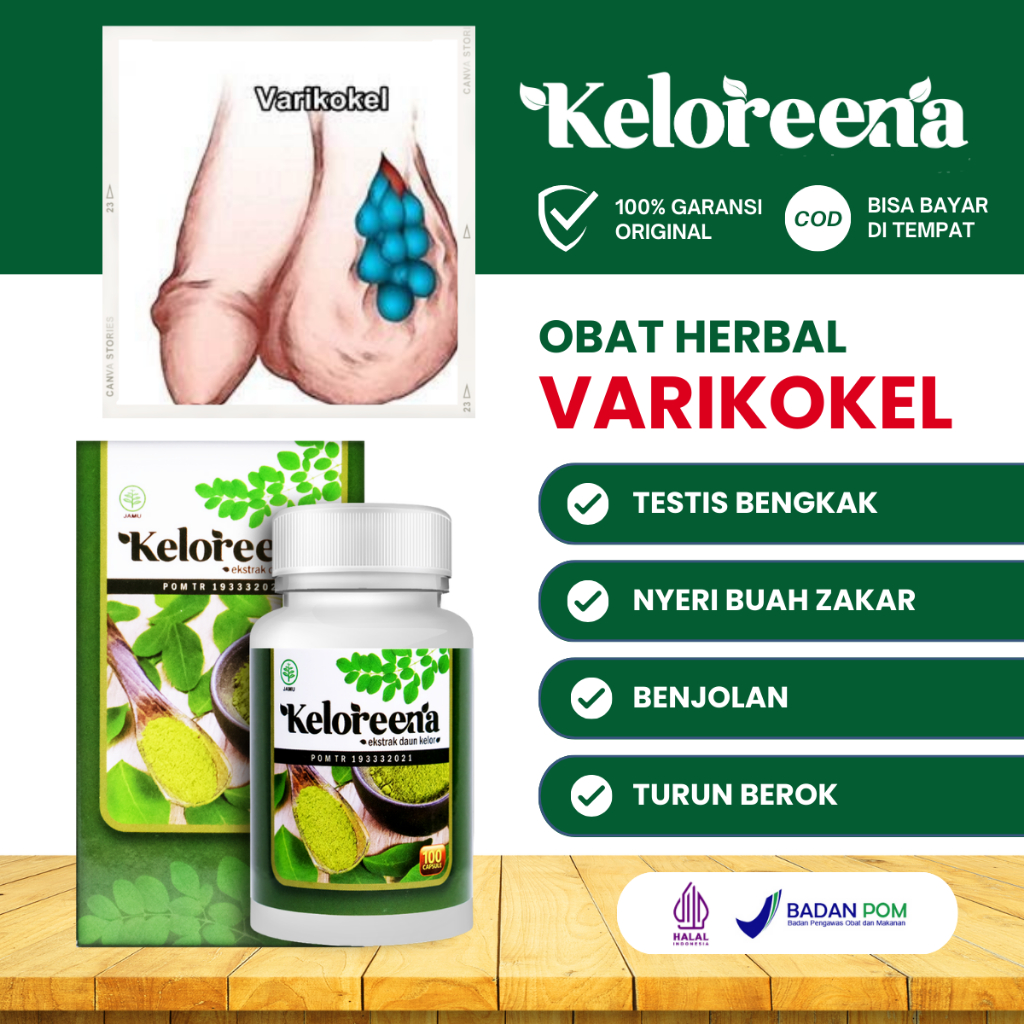 Jual Obat Varikokel Hidrokel Nyeri Testis Buah Zakar Bengkak Besar