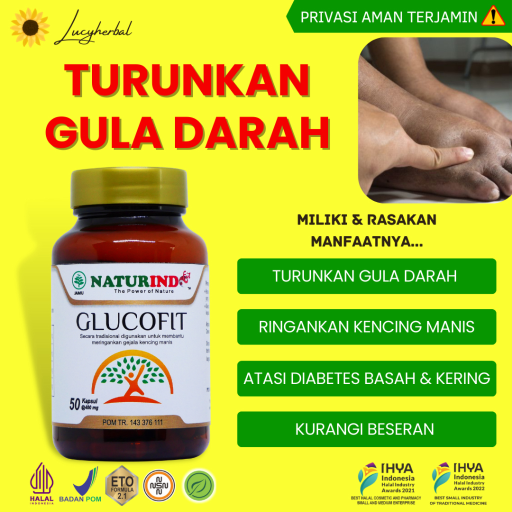 Jual Obat Gula Darah Tinggi Gula Kering Gula Basah Diabetes Herbal 50 Kapsul Glucofit Naturindo 8107