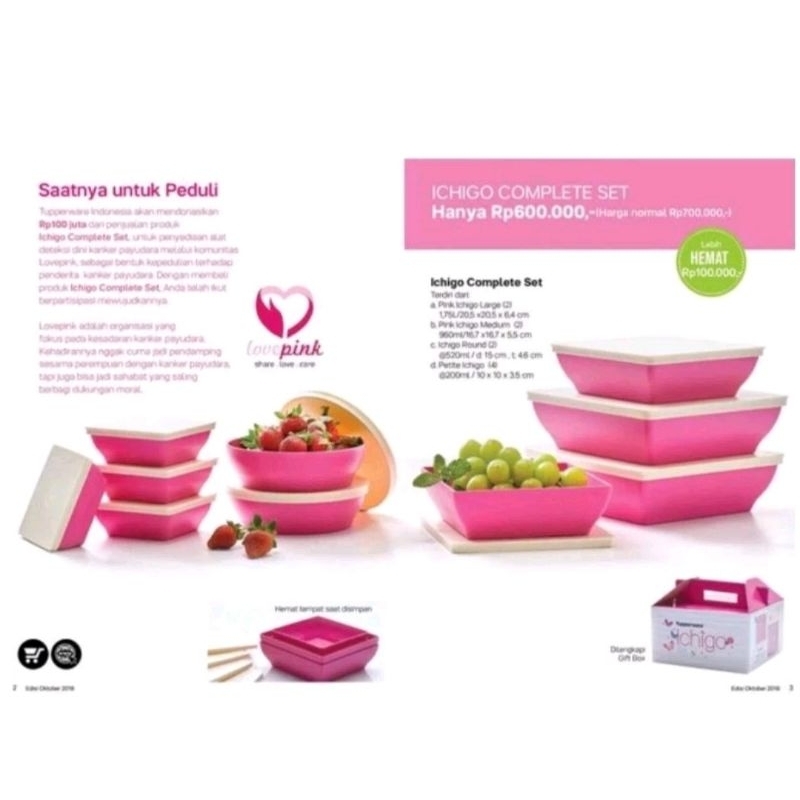Jual TUPPERWARE ICHIGO COMPLETE SET / KOTAKAN PINK | Shopee Indonesia