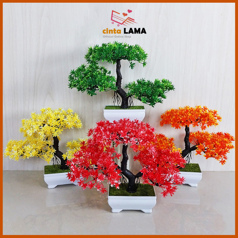 Pot Bunga Bonsai Plastik
