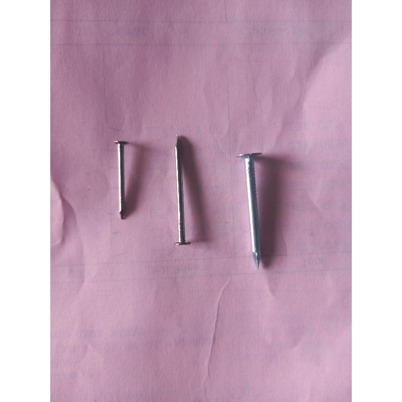 Jual paku racek / paku kecil 2cm (3/4