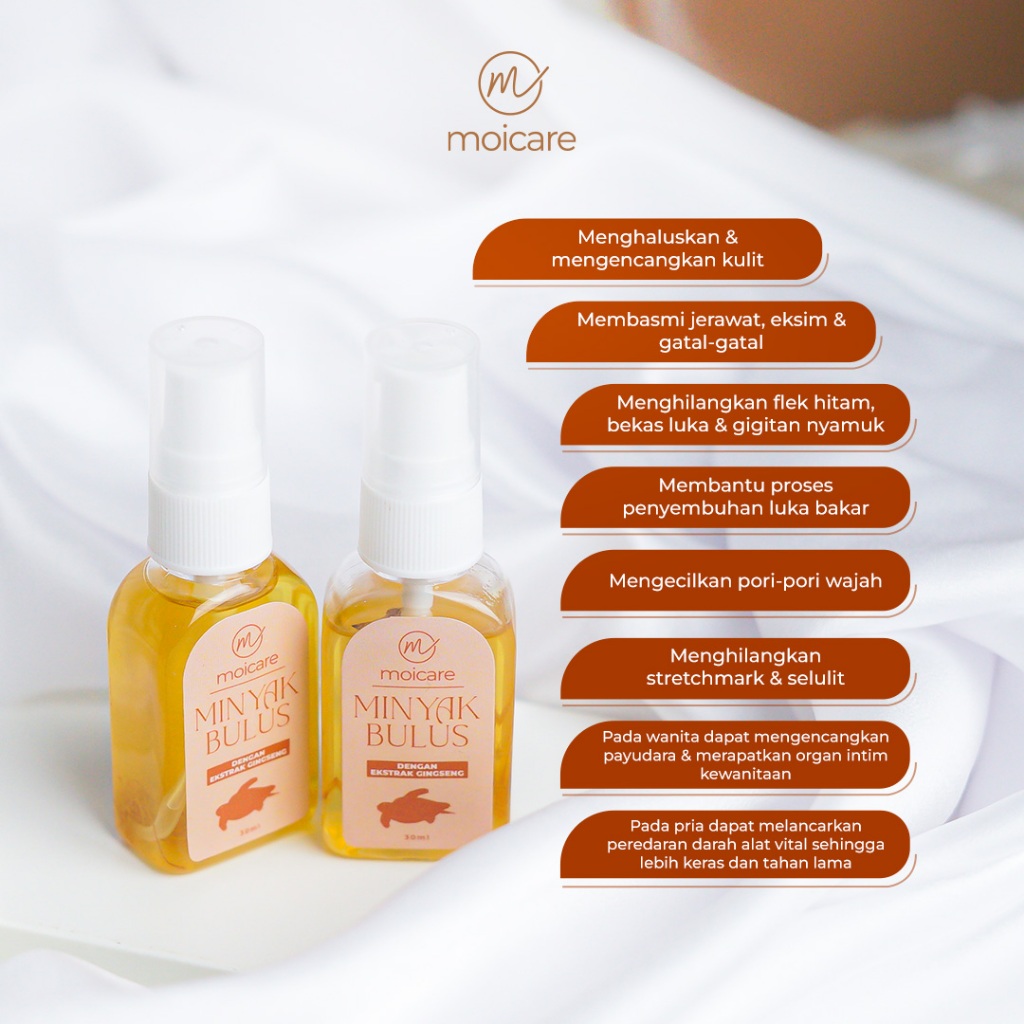 Jual Bulus Oil Minyak Bulus Murni Plus Extract Ginseng Pembesar ...