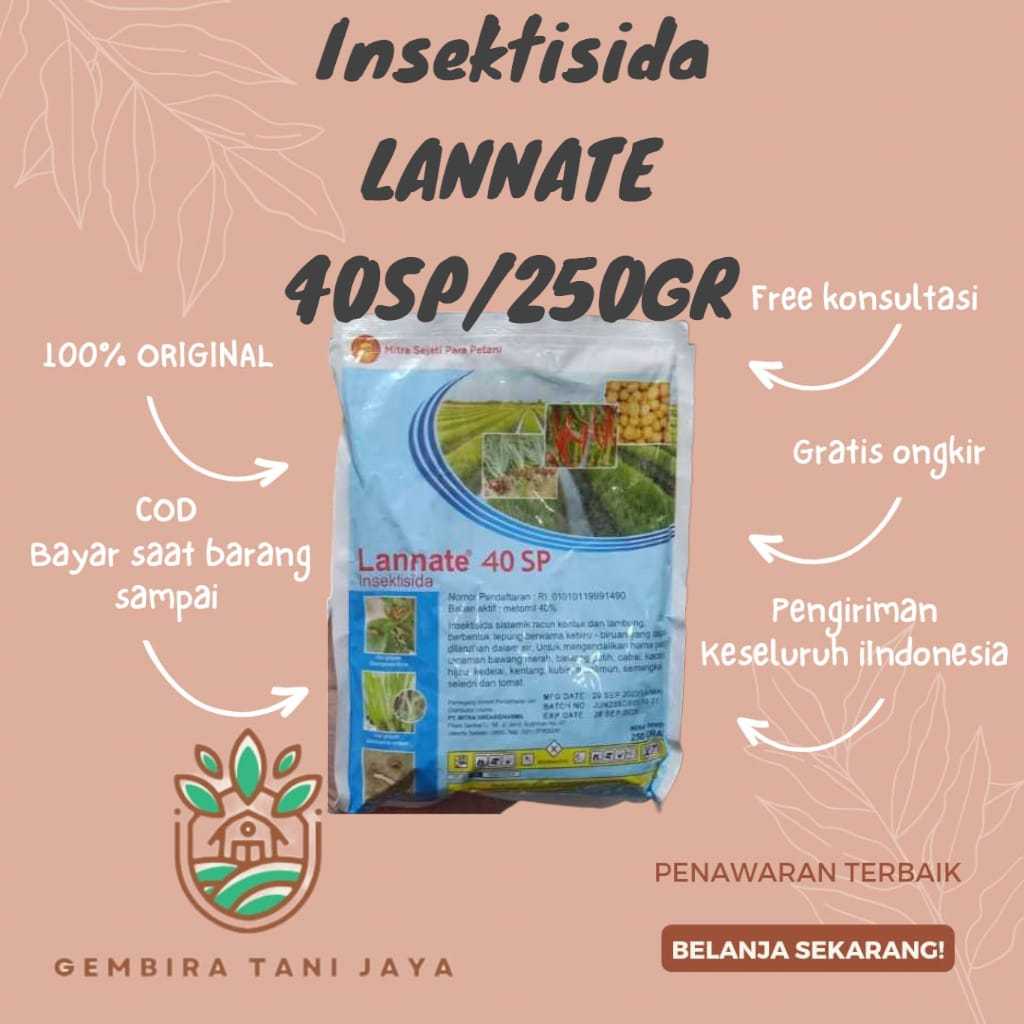 Jual INSEKTISIDA LANNATE 40sp kemasan 250gr | Shopee Indonesia