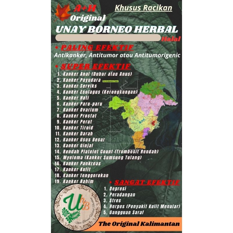 HERBAL TUMOR KANKER dan SEGALA PENYAKIT SPESIALIS RACIK A+H