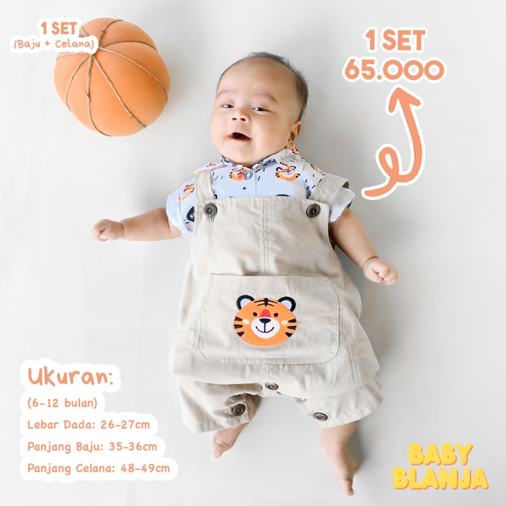 Jual Baju Bayi Laki Laki 3 9 Bulan Theo Set | Shopee Indonesia