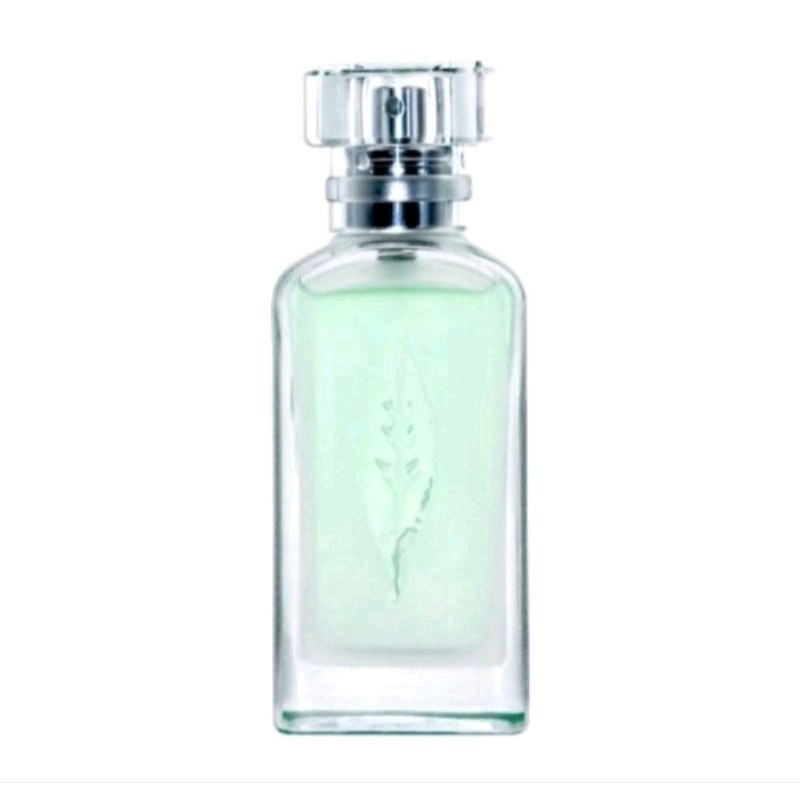 Jual GREEN TEA PARFUM MINISO ORIGINAL 30ml Shopee Indonesia
