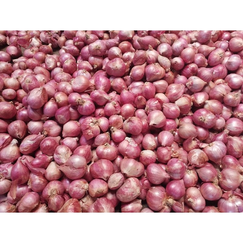 Jual Bawang Merah Brambang Super Kering 1kg Shopee Indonesia