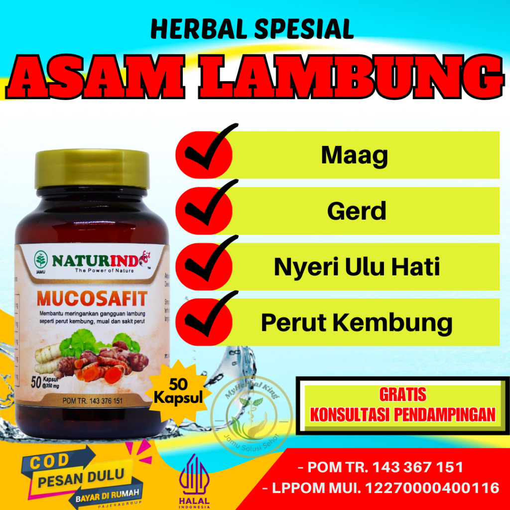 Jual Obat Asam Lambung Maag Gerd Nyeri Ulu Hati Perut Kembung Herbal Shopee Indonesia