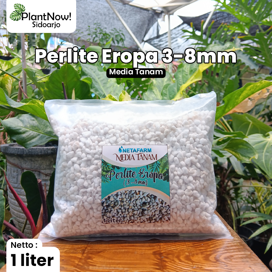 Jual Media Tanam - PERLITE 3-8mm - 1 liter | Shopee Indonesia