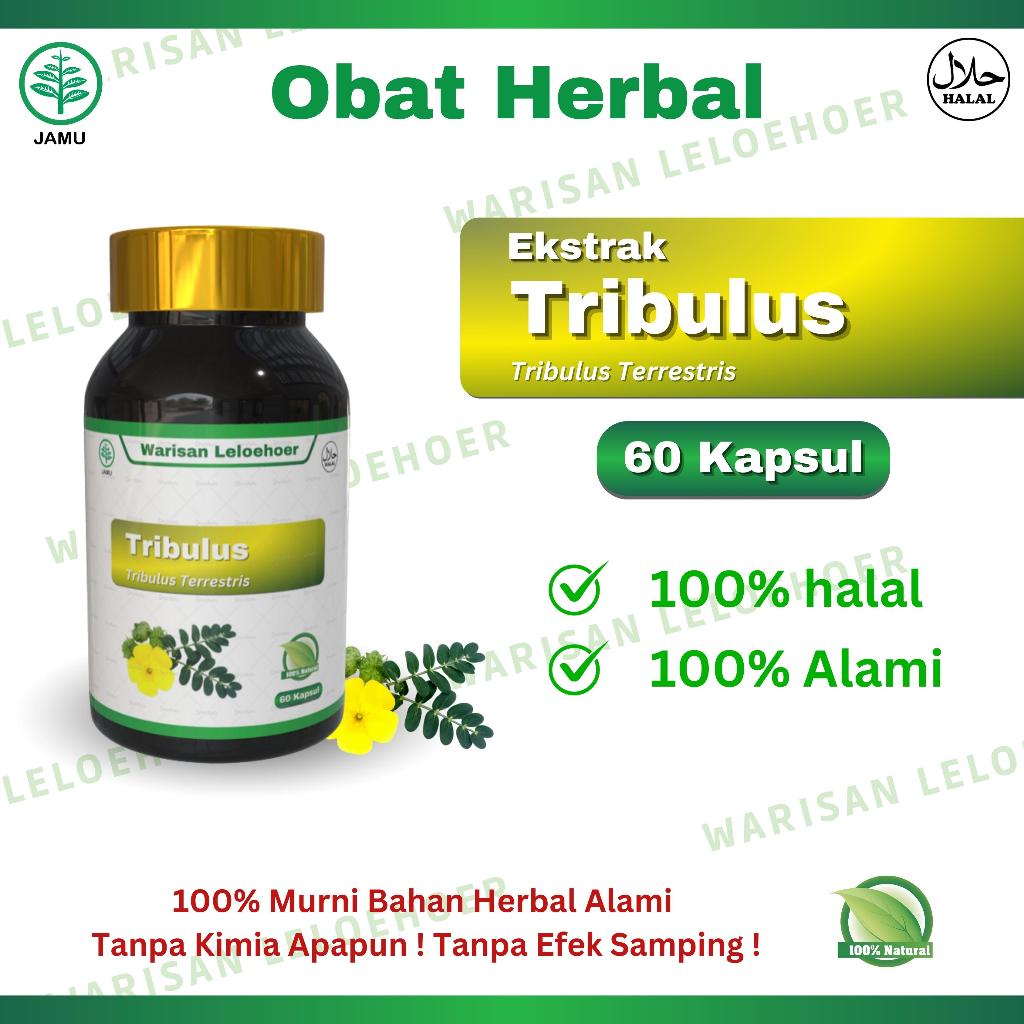 Jual Tribulus Herbal 60 Kapsul Jamu Alami 100 Fresh [ Free Buble Wrap
