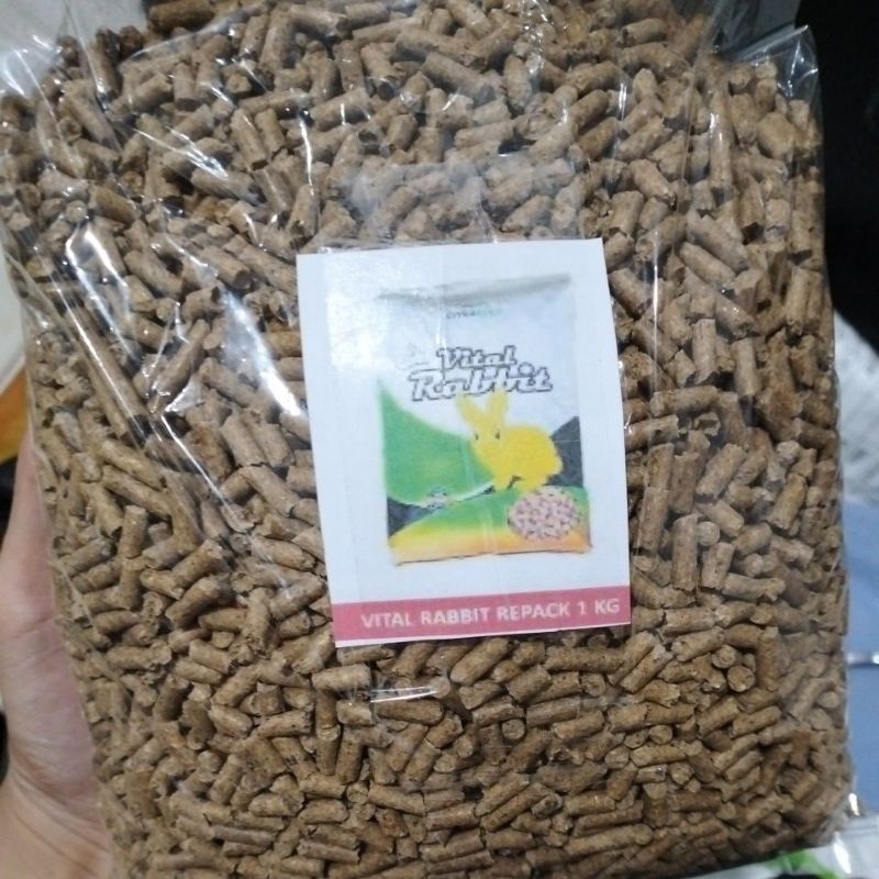 Jual VITAL RABBIT | Shopee Indonesia