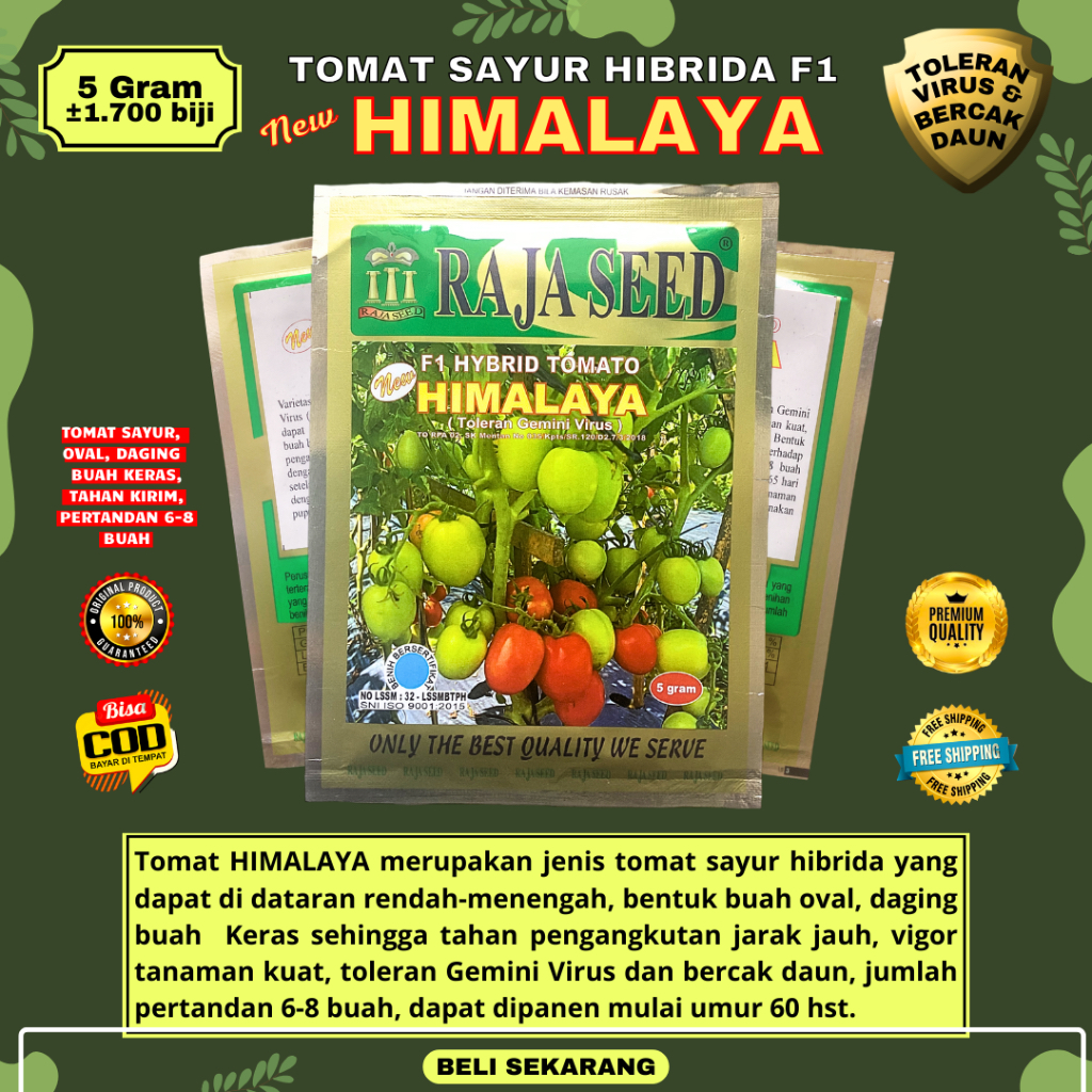 Jual [ORIGINAL] Bibit Benih Tomat Hibrida F1 NEW HIMALAYA 5 gram (+-1. ...