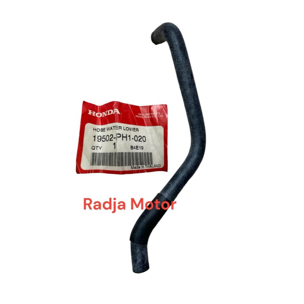 Jual Slang Radiator Bawah Accord Prestige Asli Shopee Indonesia